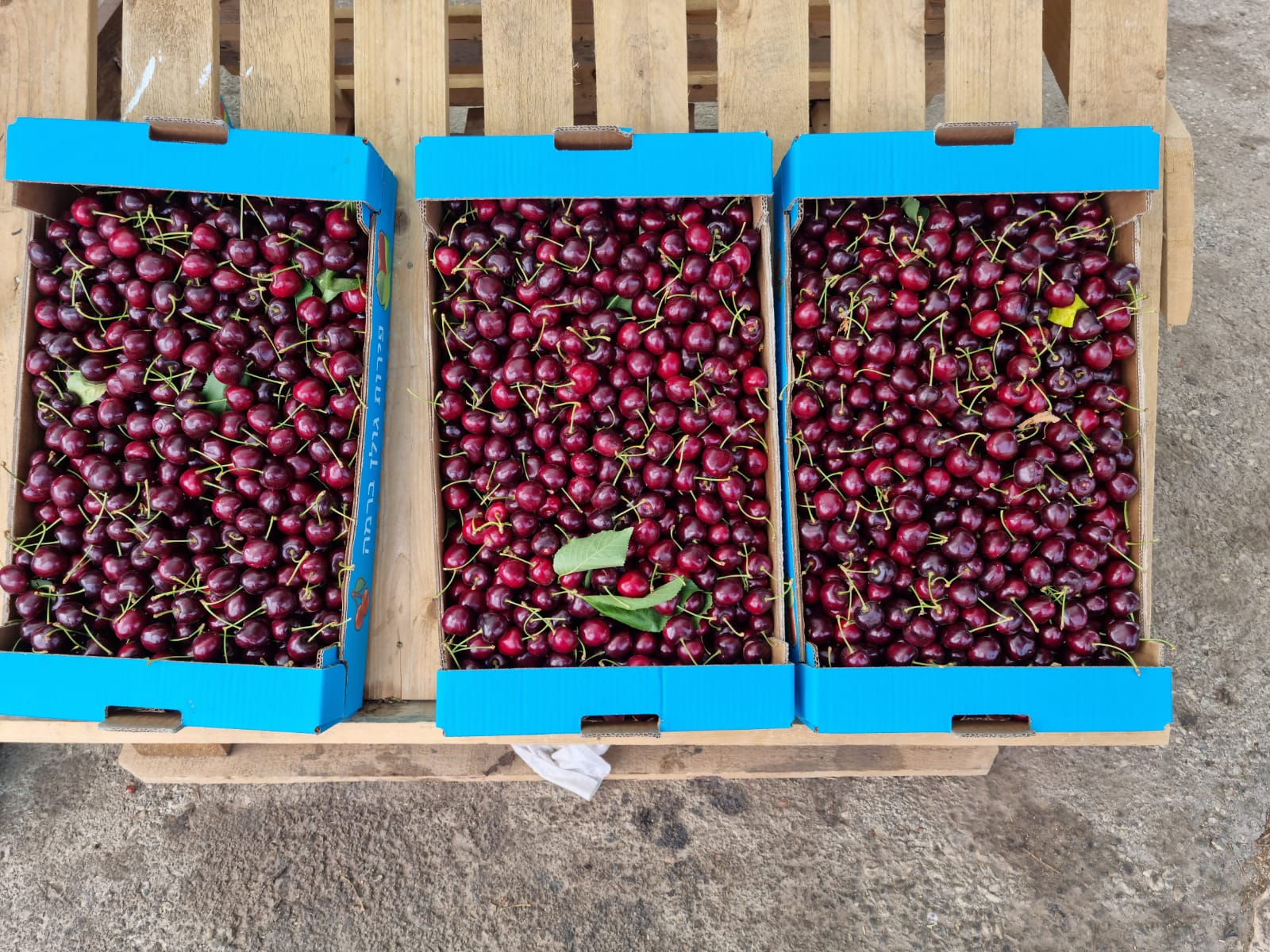 WhatsApp Image 2022-06-26 at 3.29.48 PM (3).jpeg